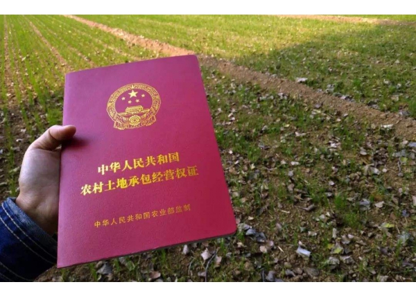 農(nóng)村土地承包經(jīng)營權確權項目